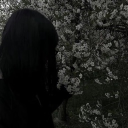 avatar pink