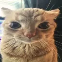 sam.hellohi