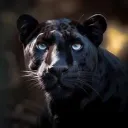 the.panther_1