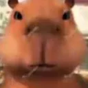 Click to download Pte Low Yong Bing