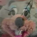 martijnkop
