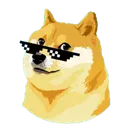 d0g_dev