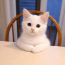 MmyMarj