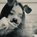 𝐯𝐞𝐱 (bio)