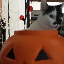 hazedemon