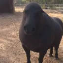 theaverageaviationguy avatar