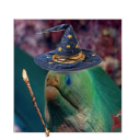 ℂ𝕝𝕖𝕧𝕖𝕣 𝔼𝕖𝕝