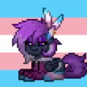chelsea_hoshikawa avatar