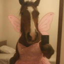 avatar Felipe Nelargo.