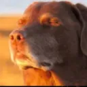 Аватар brighter234