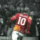 raffaele.gatto_