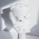 005290