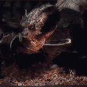 smaugsy