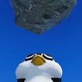 vito_desp1
