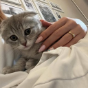 avatar mhh
