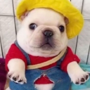 avatar lil pibble jesus