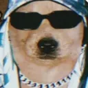 laprepuciniah. avatar