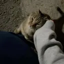 nyziopiiii_71303 avatar