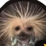 _gumge_