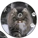 cati_singer123 avatar