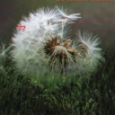 avatar 𝓗𝓲𝓷𝓽 𐕣