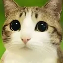 melinagalvez_81046 avatar