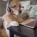 sundytv