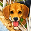 BeagleMD's Avatar