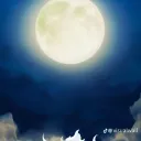 unapersonacomun0675_62340 avatar