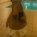 almostwrotebac_17 avatar