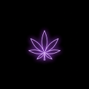 weedy13122