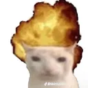 elezpantaviejas50000 avatar