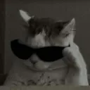 cmjrqywejywvhiz_91399