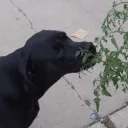 badbubba1000