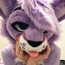kangafortune