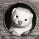 minky