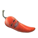 koijote