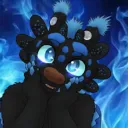 dashthenightfurytaidum