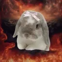 coolest_pigeon