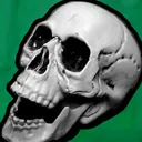 archerlp