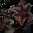 avatar 𝐤𝐮𝐫𝐝𝐢𝐧73