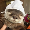 avatar ˑ 𓈒 𐔌  Renny   ͡꒱