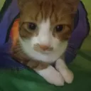 thebestjake67_55196 avatar