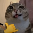 KimikoxF