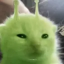 pan_congasolina avatar