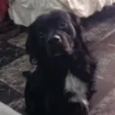 taeyongistapro._48739 avatar