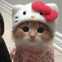 avatar zarra nothing spesial✨