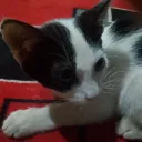 superextar._30139 avatar