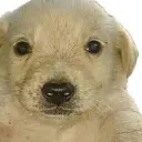 emmanuelxd0174 avatar