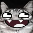 cryy0708_41855 avatar